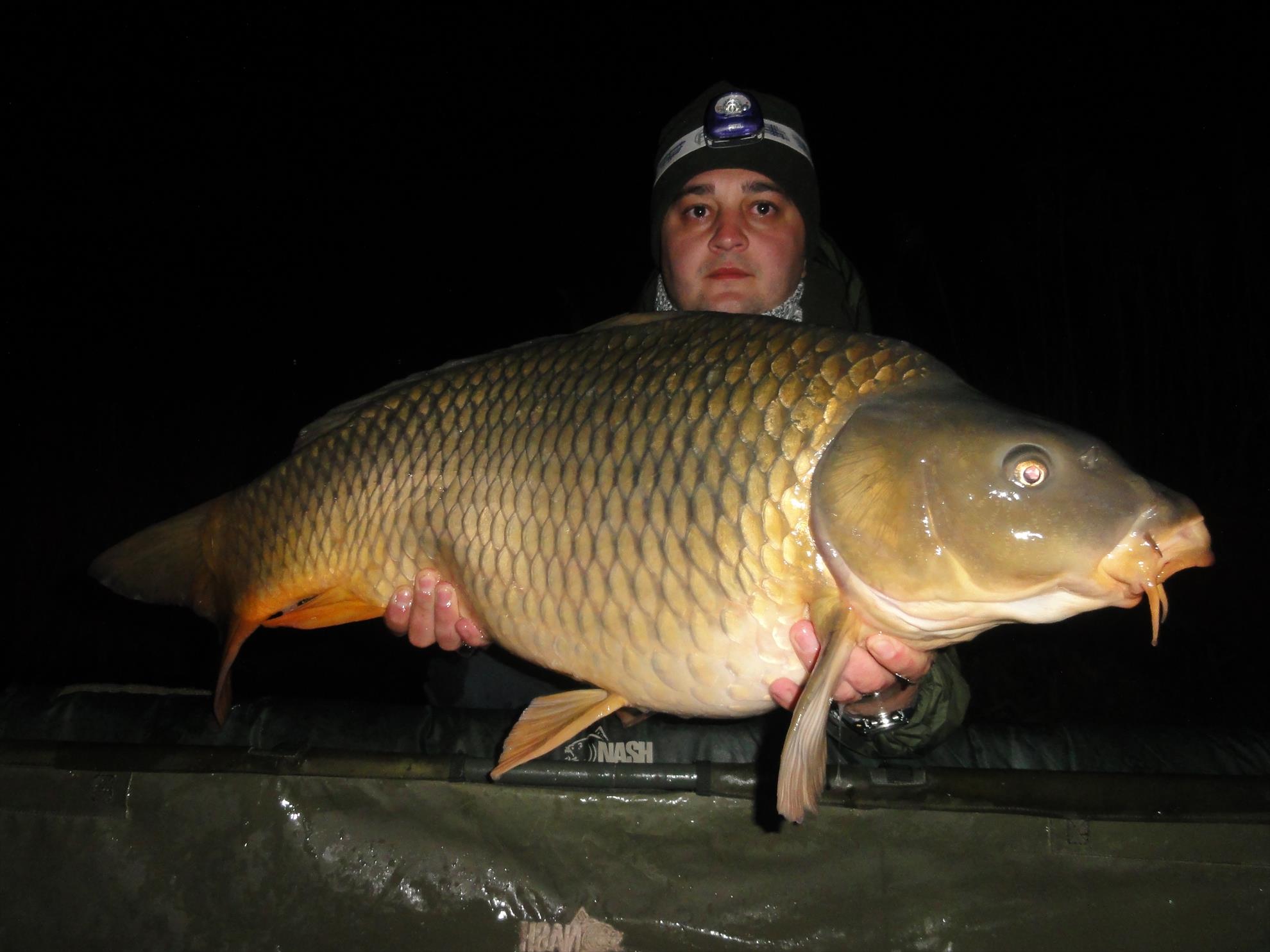 Aprilie 2013 - Harsany Aprilie 2013